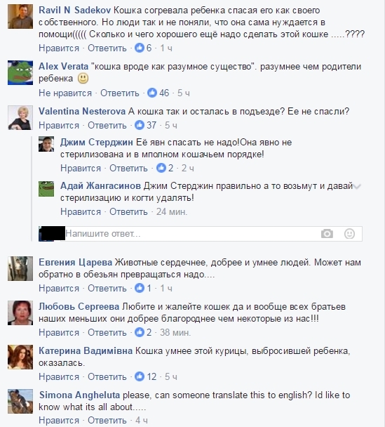 кошка Машка